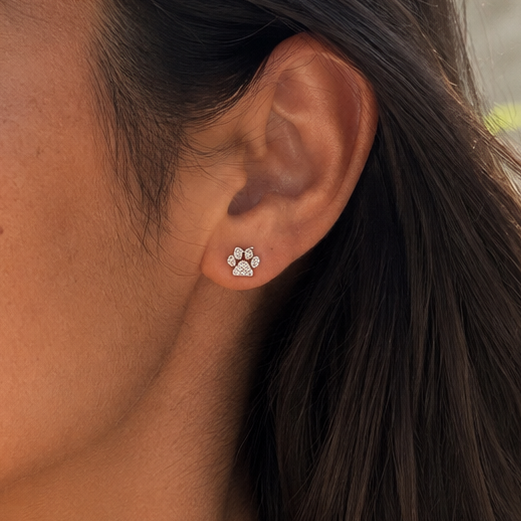 Aros patita (huella) circones plata